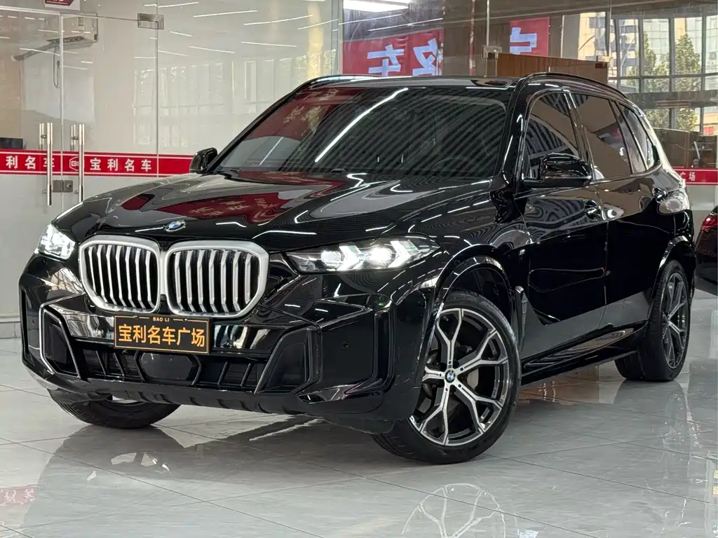 BMW X5 — миниатюра 2