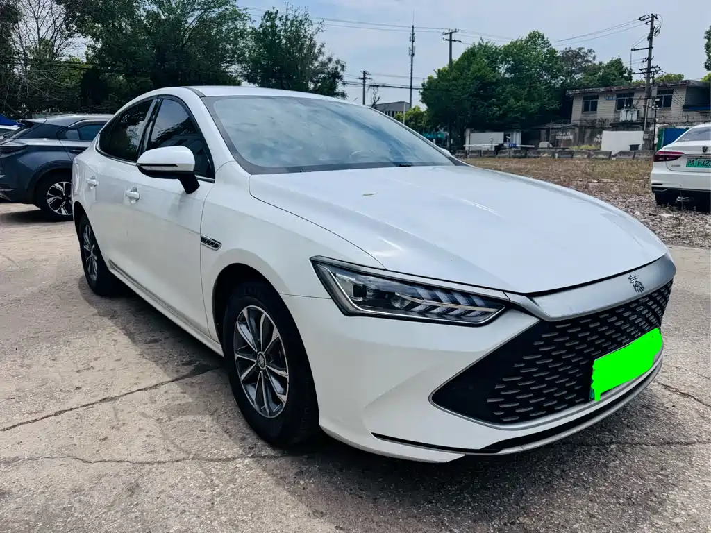BYD Qin Plus PLUS 2024 DM-i 55KM Lead