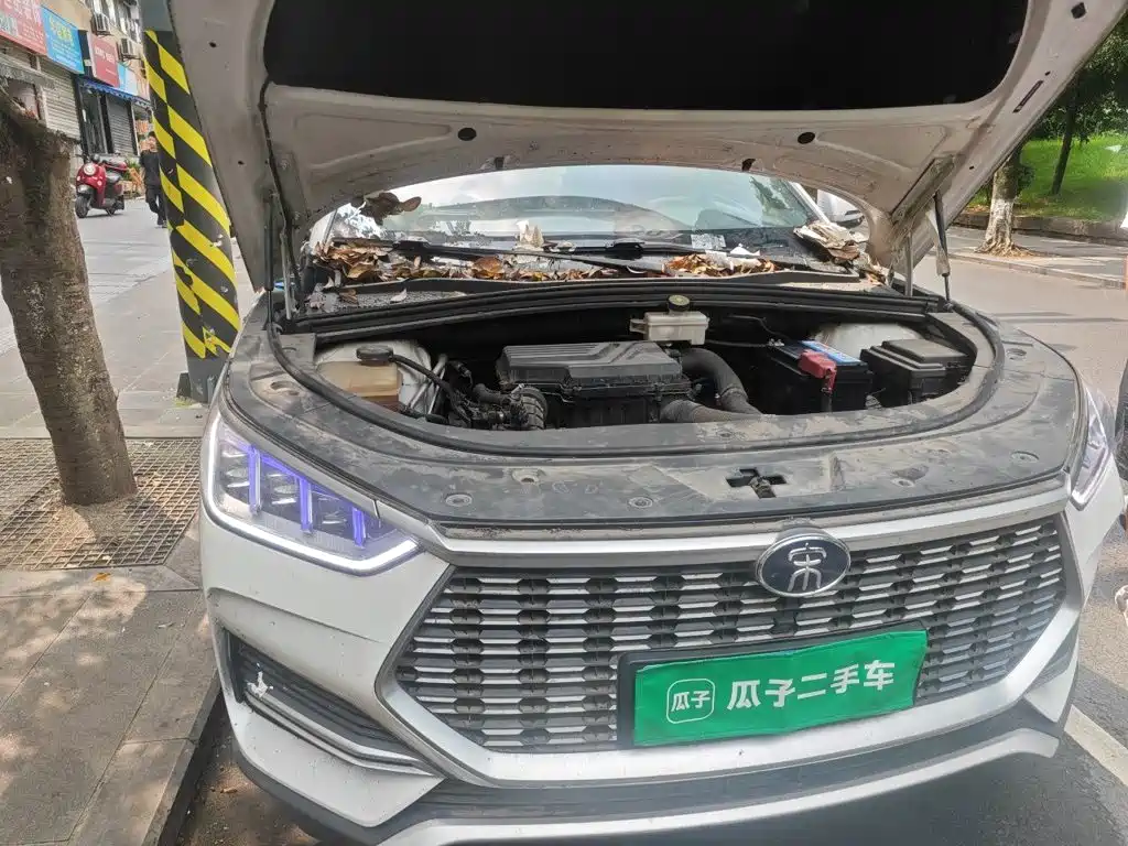 BYD PLUS — миниатюра 20
