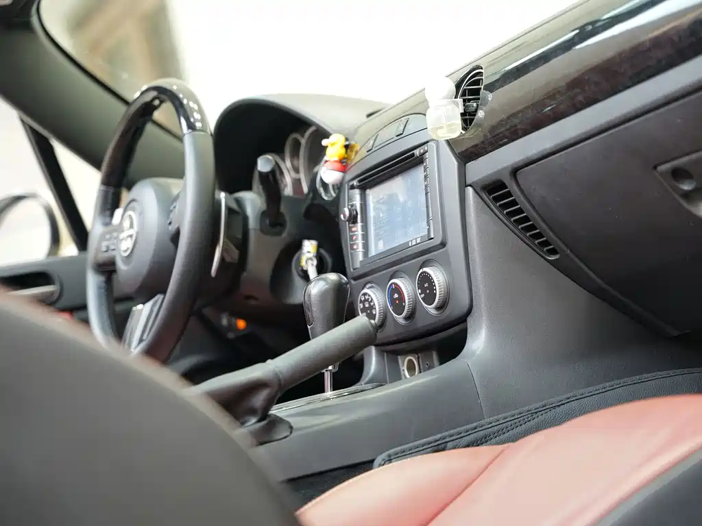 Mitsuoka Queen — миниатюра 18