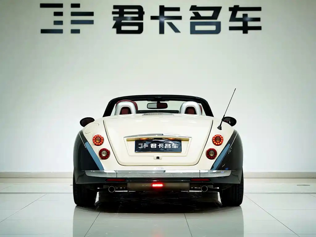 Mitsuoka Queen — миниатюра 6