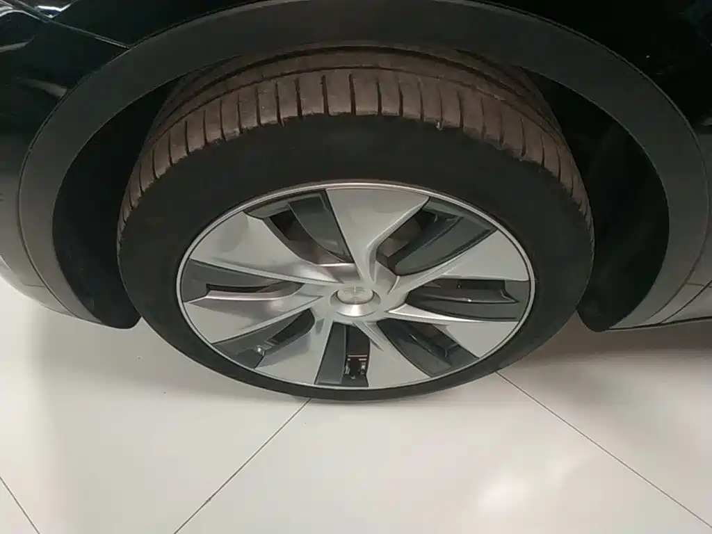 Tesla Model Y — миниатюра 23