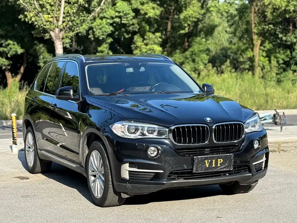 BMW X5 (Import) — миниатюра 3