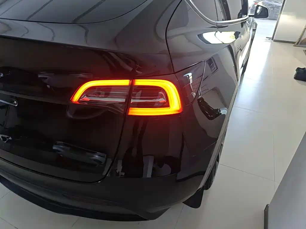 Tesla Model Y — миниатюра 8
