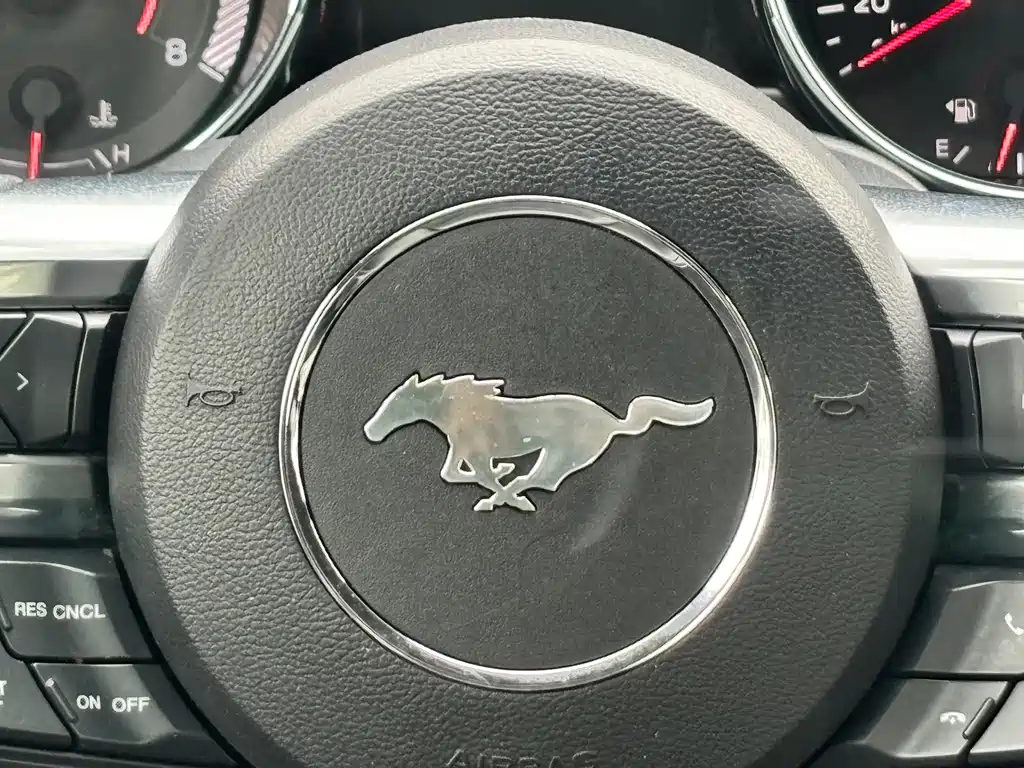 Ford Mustang — миниатюра 15