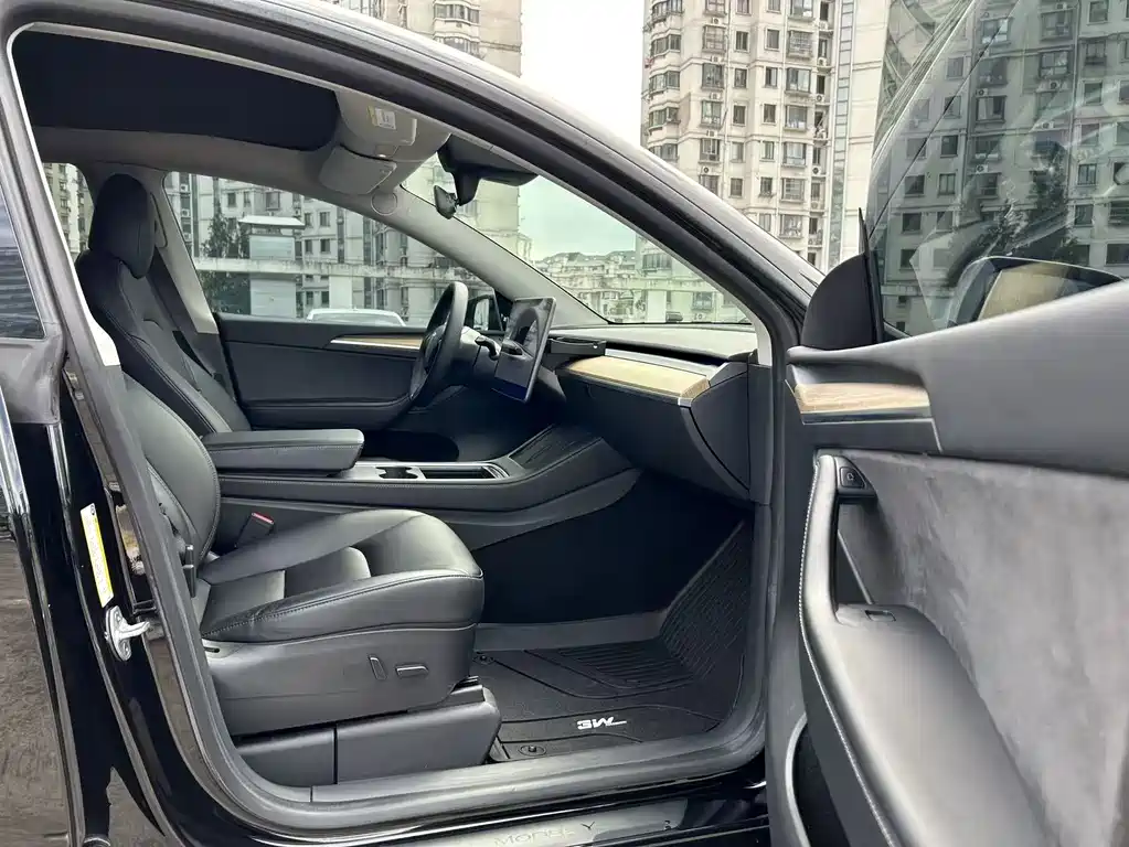 Tesla Model Y — миниатюра 17