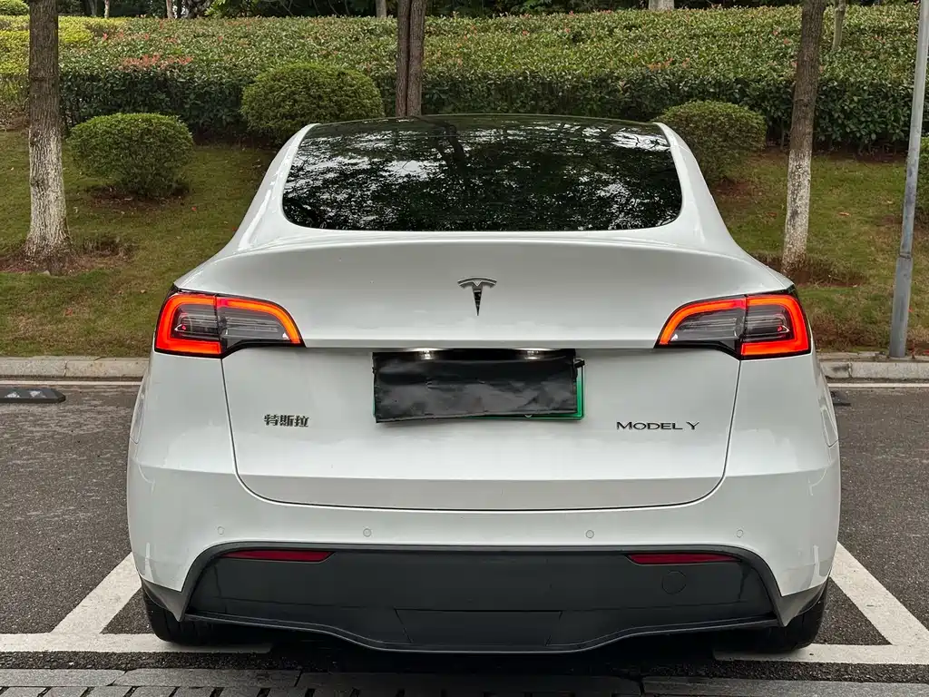Tesla Model Y — миниатюра 12