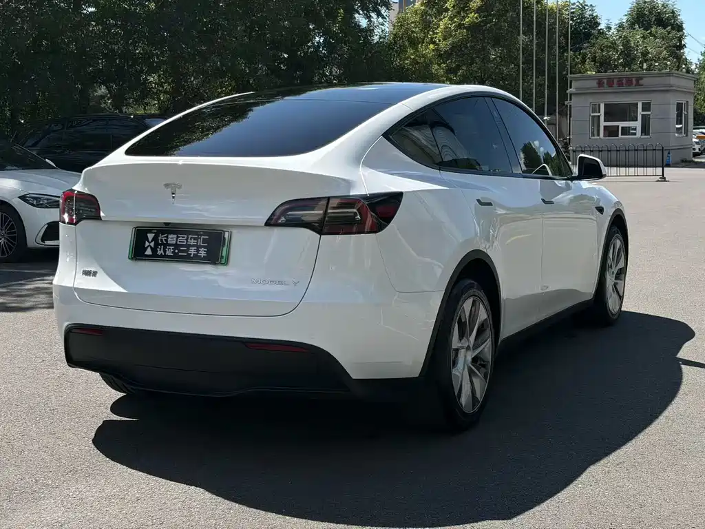 Tesla Model Y — миниатюра 4