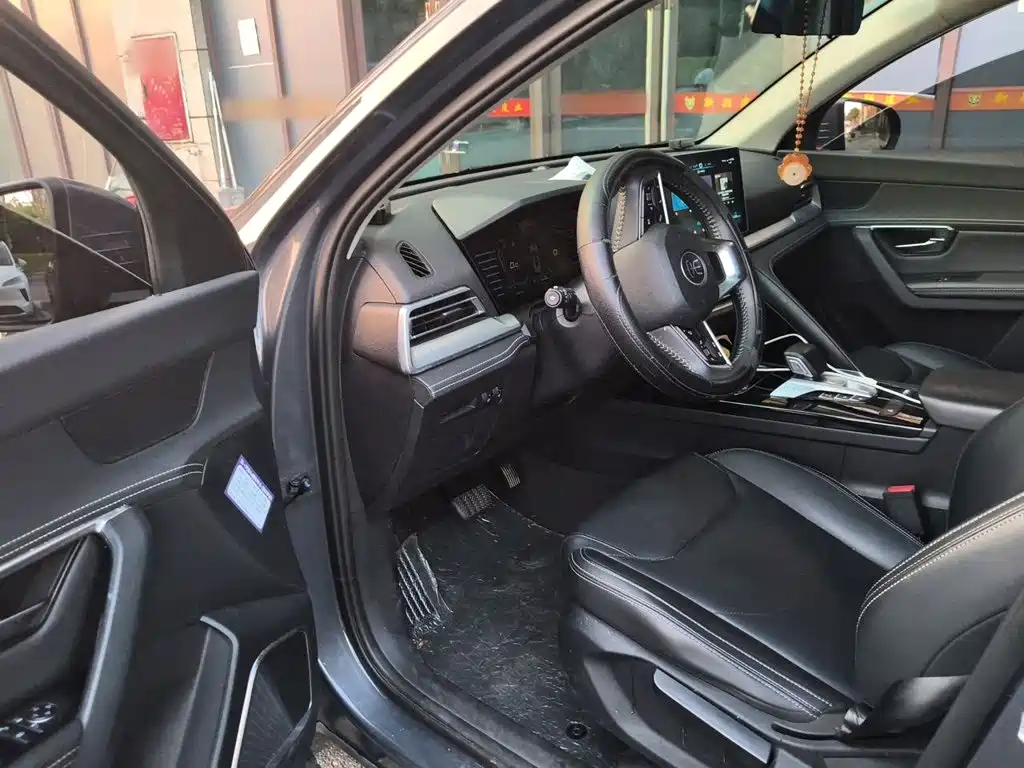 BYD Pro — миниатюра 17