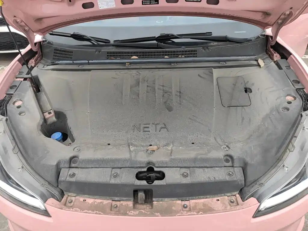 Neta Neta V — миниатюра 20