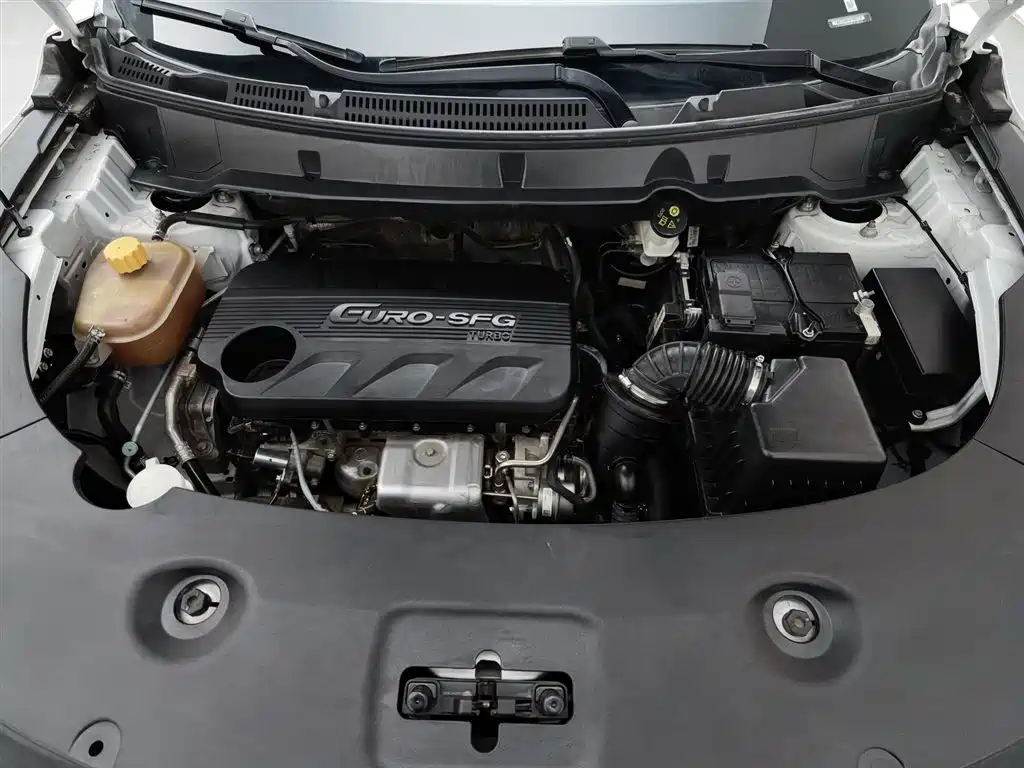 DONGFENG SCENERY 580