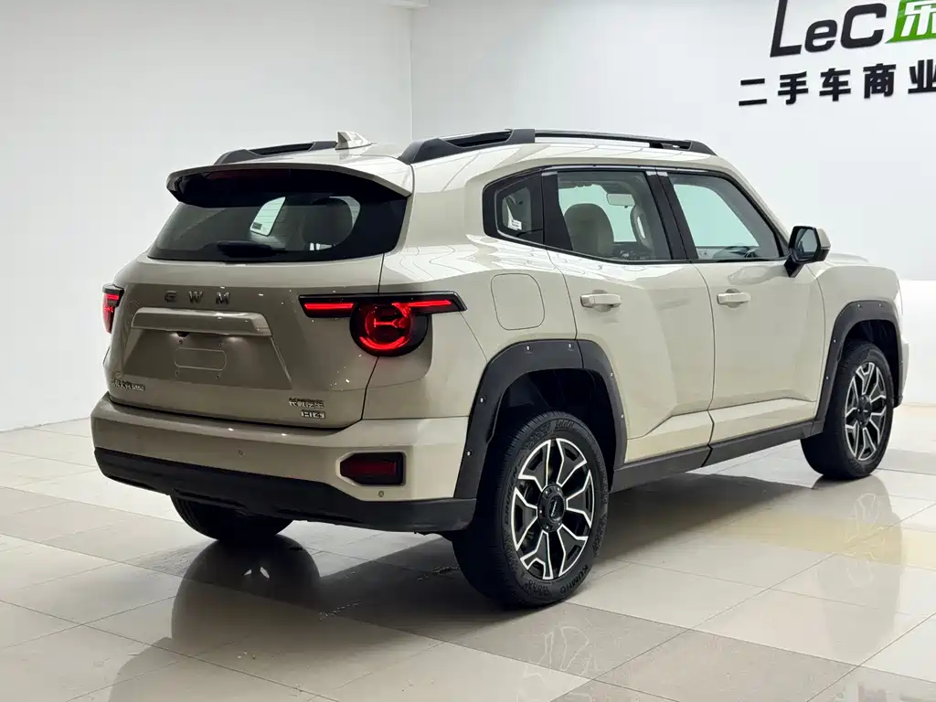 Haval Big Dog PLUS New Energy — миниатюра 18
