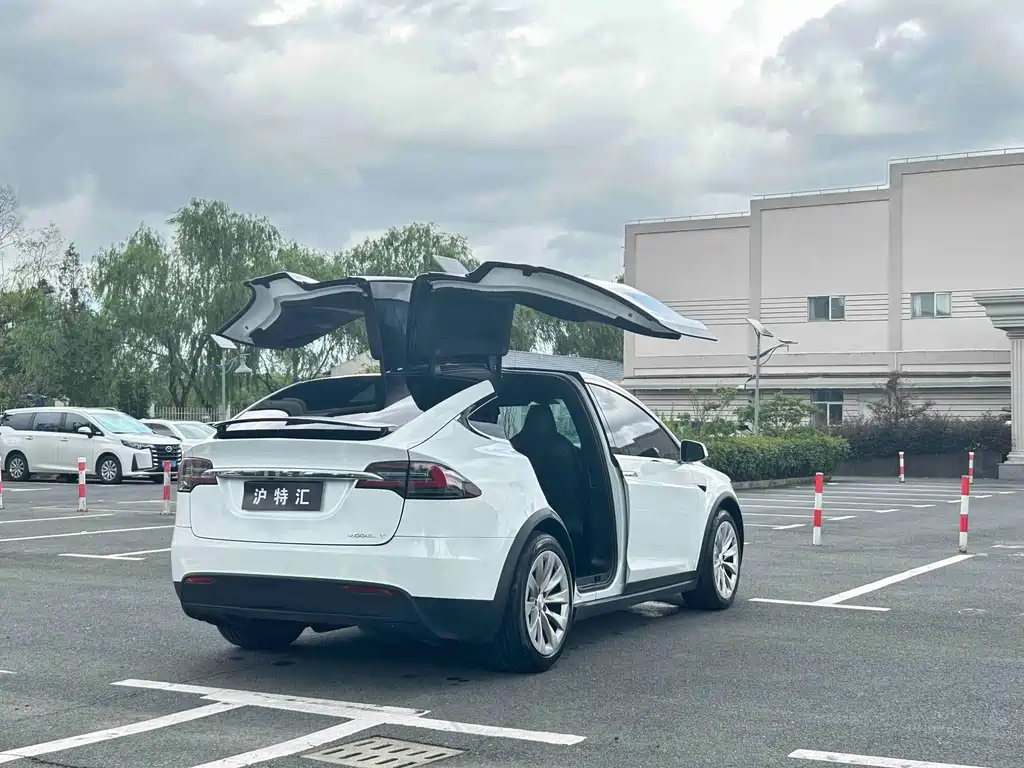 Tesla Model X — миниатюра 6