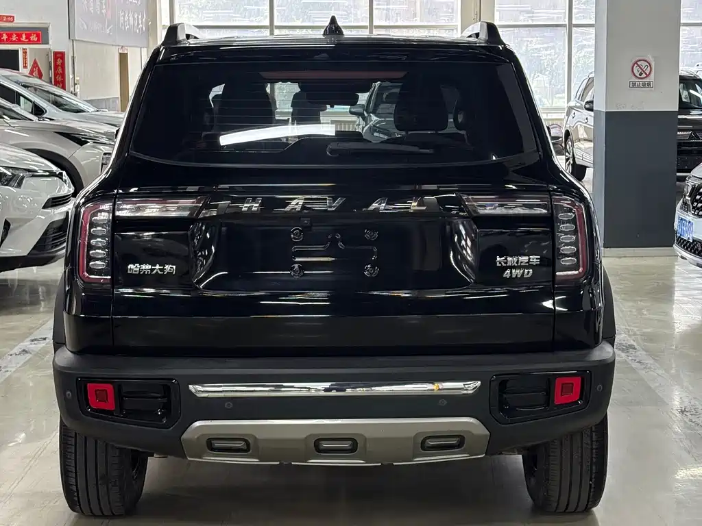 Haval Big Dog — миниатюра 14