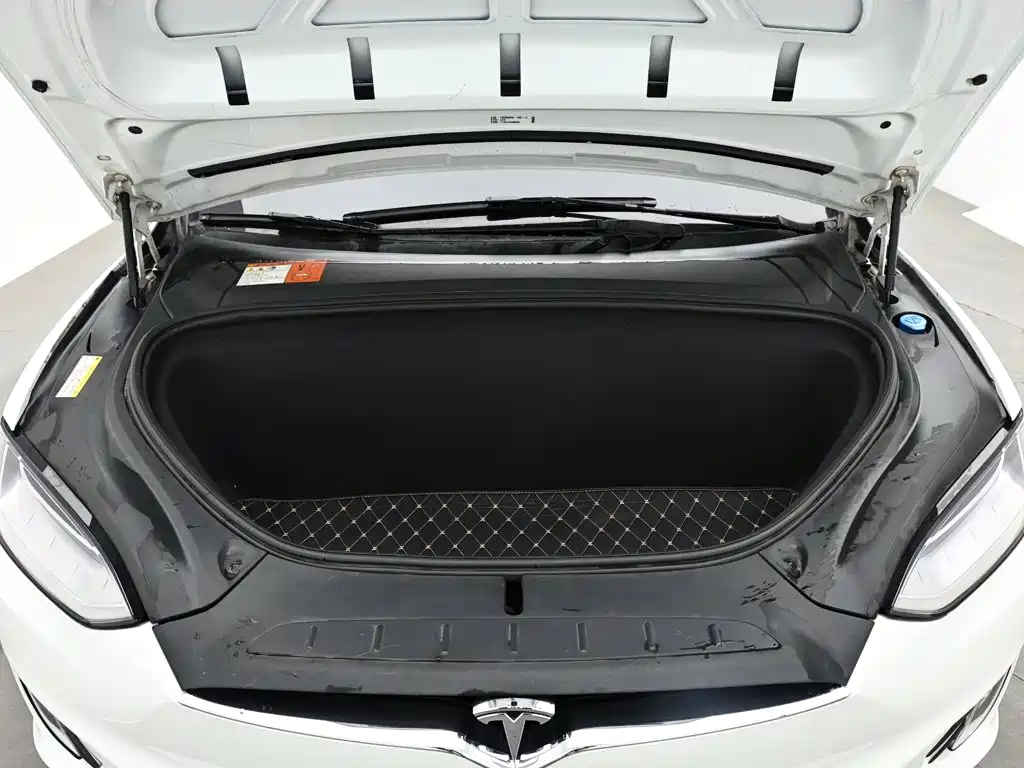 Tesla Model X — миниатюра 18