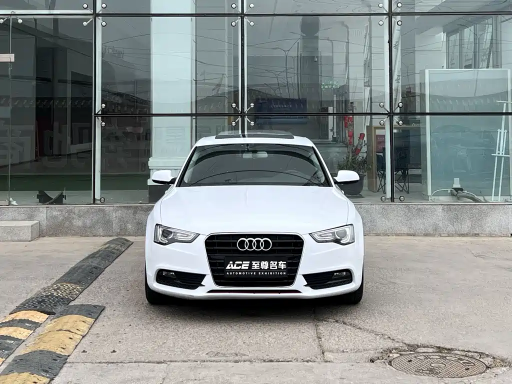 Audi A5 (Import) — миниатюра 2