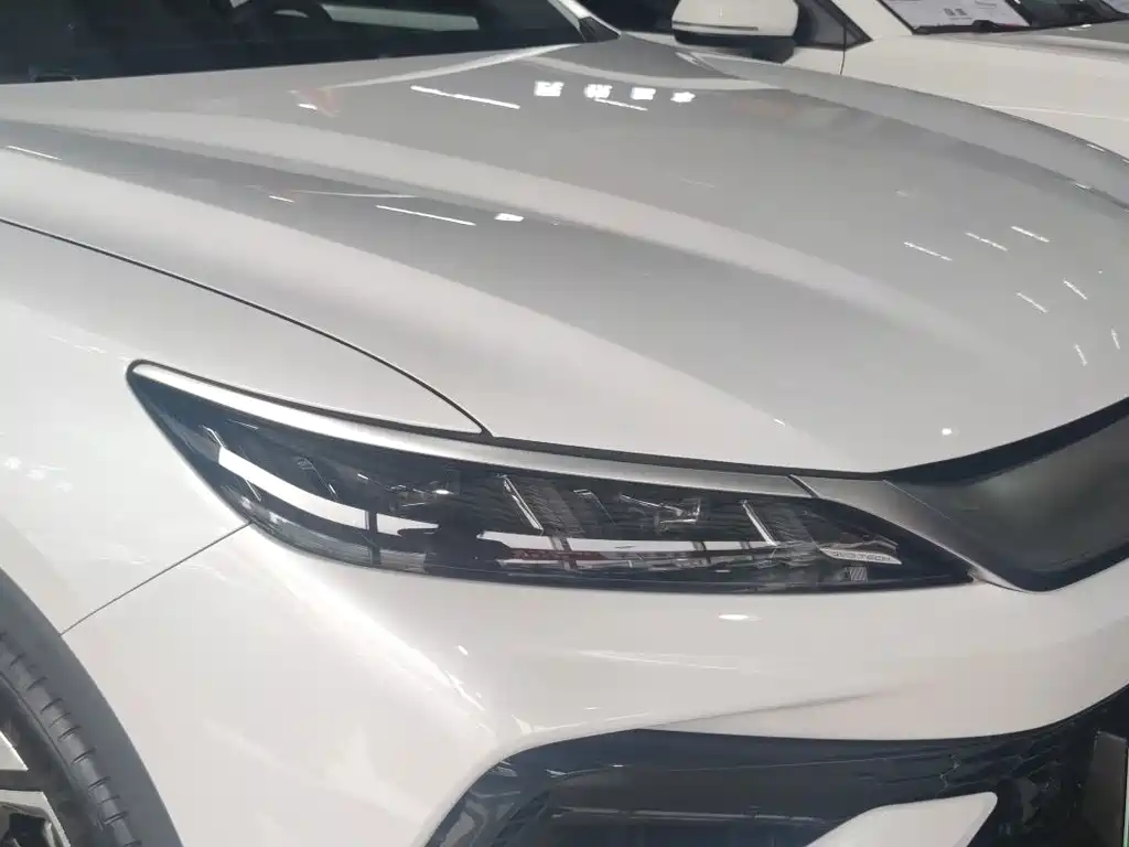 BYD Pro New Energy — миниатюра 14