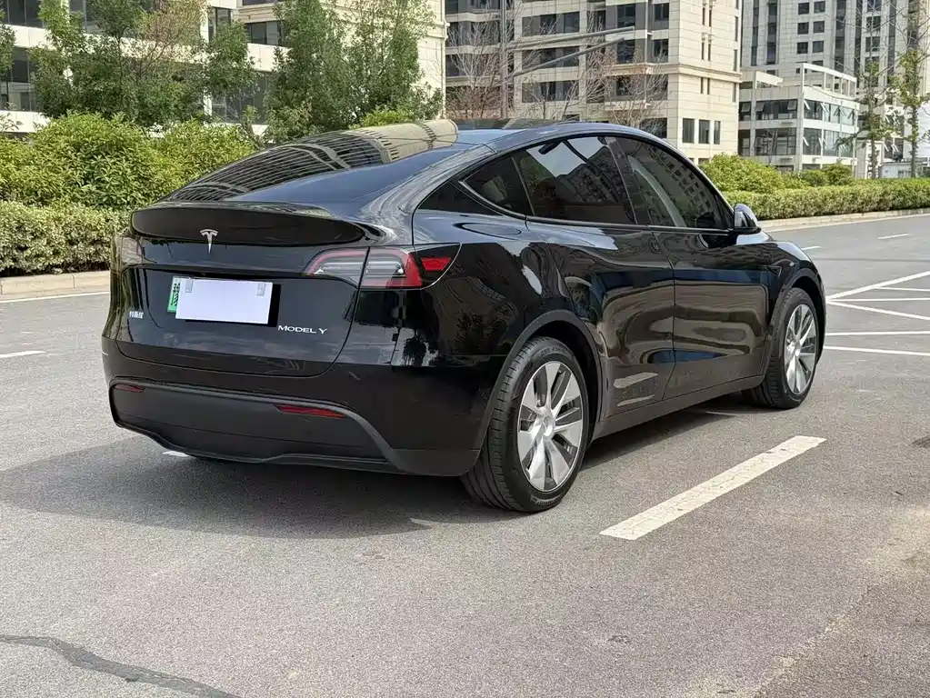 Tesla Model Y — миниатюра 10