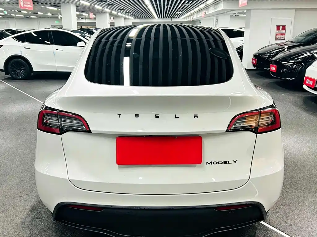 Tesla Model Y — миниатюра 8