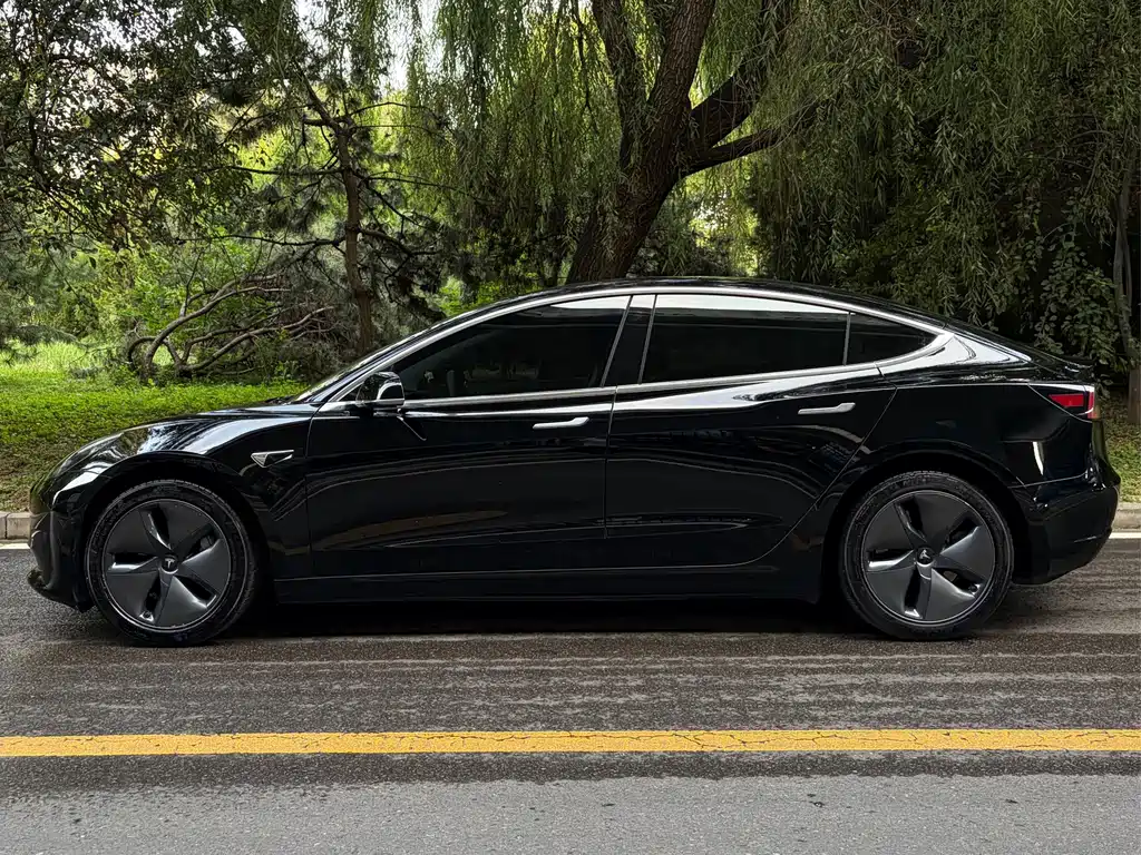 Tesla Model 3 — миниатюра 3