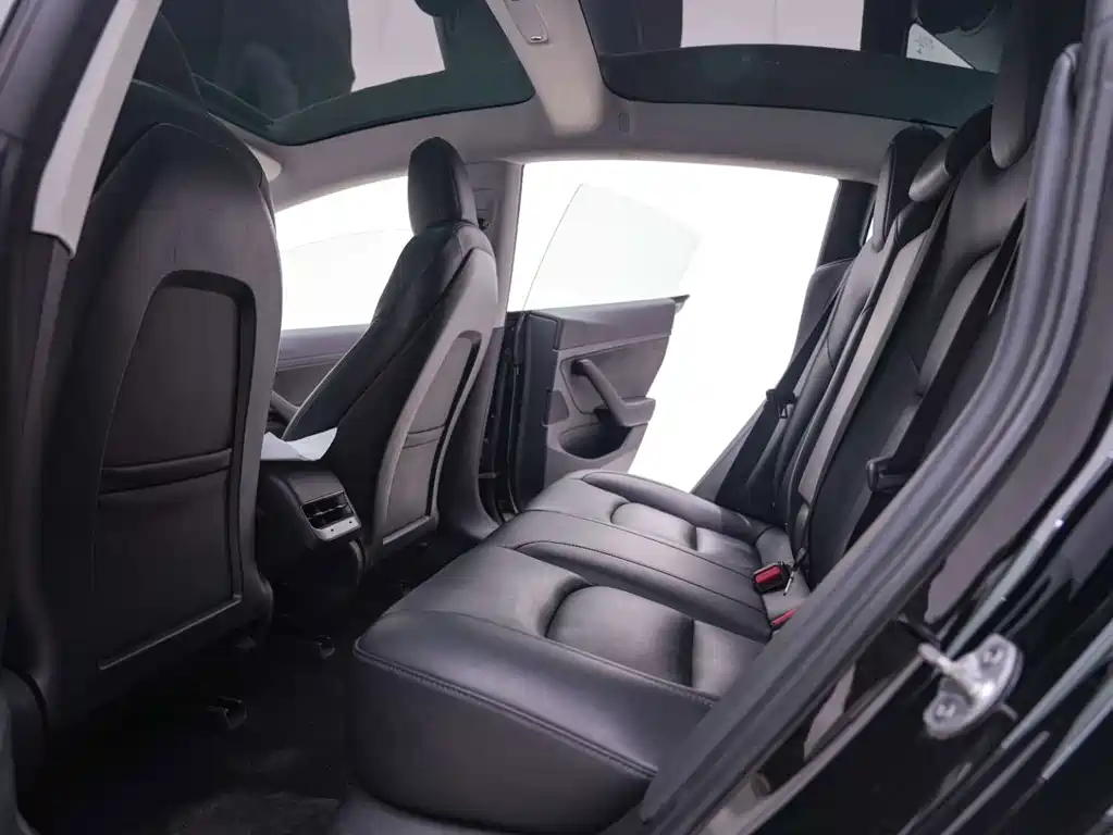 Tesla Model 3 — миниатюра 22