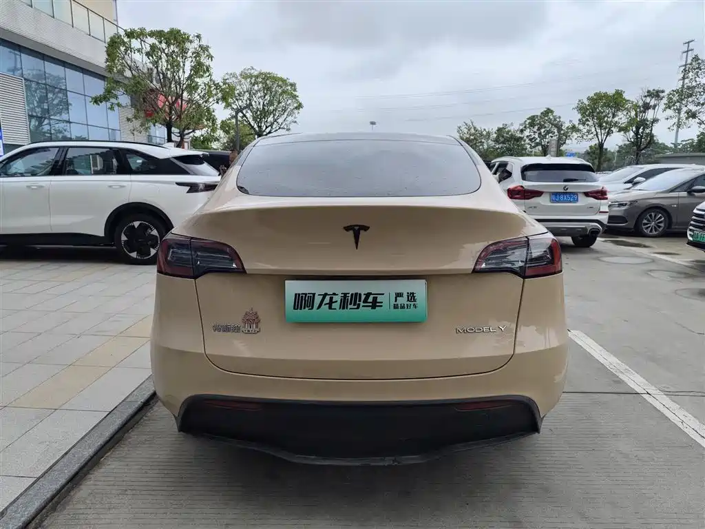 Tesla Model Y — миниатюра 8