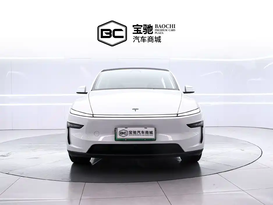 Tesla Model Y — миниатюра 2