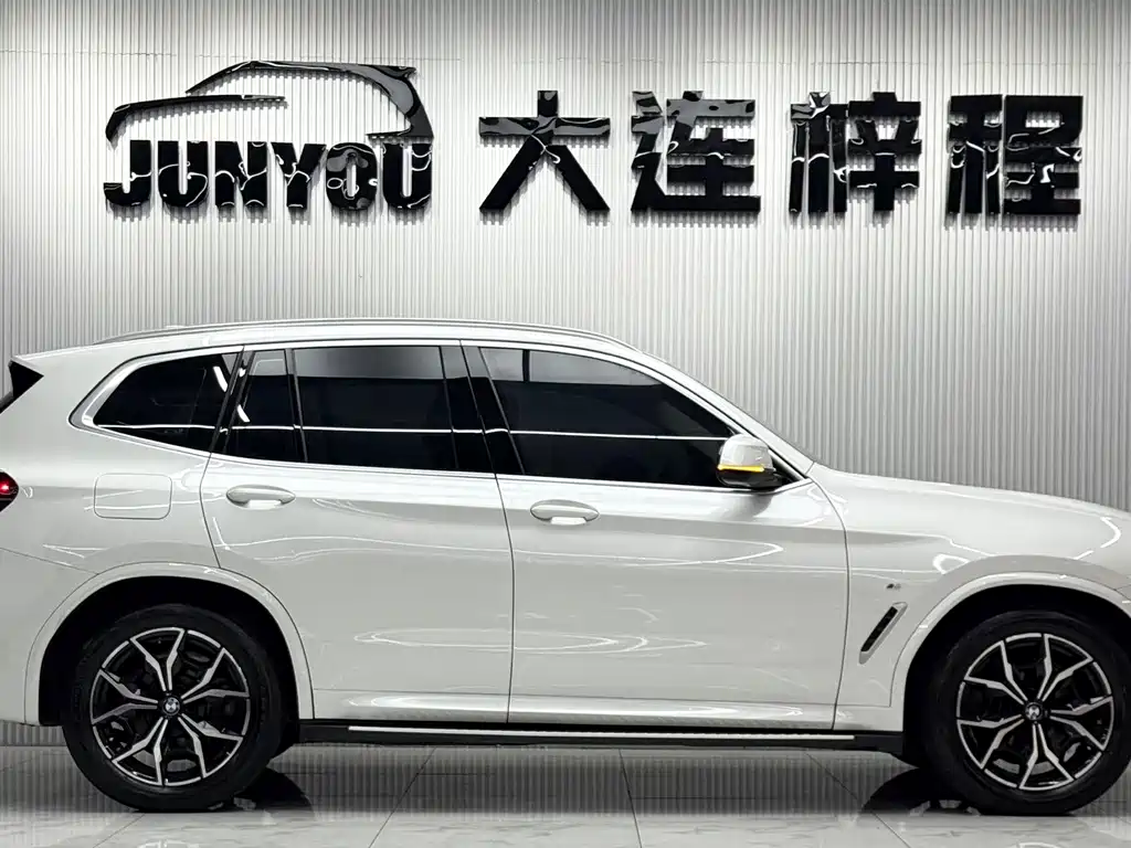 BMW X3 — миниатюра 8