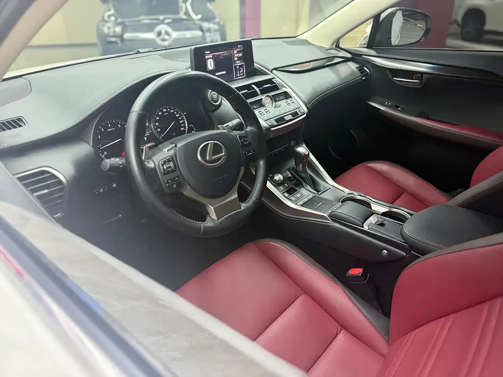Lexus NX — миниатюра 12