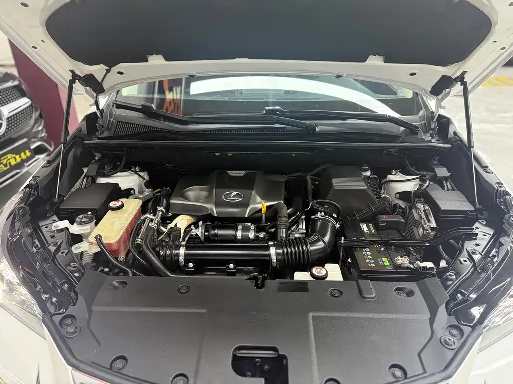 Lexus NX — миниатюра 29