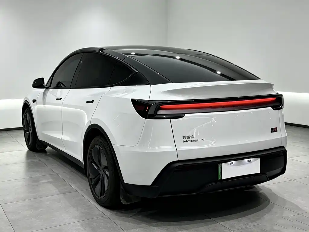 Tesla Model Y — миниатюра 11