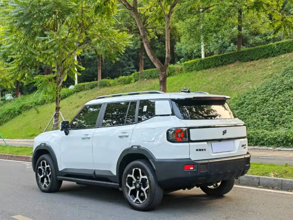 Shanhai Shanhai T1 — миниатюра 3