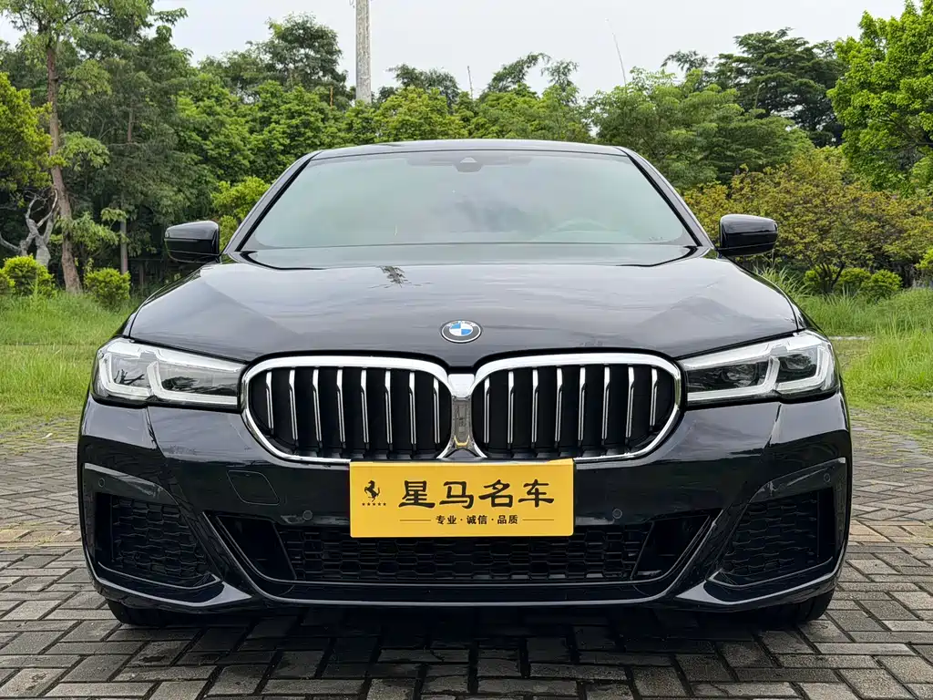 BMW 5 Series — миниатюра 2