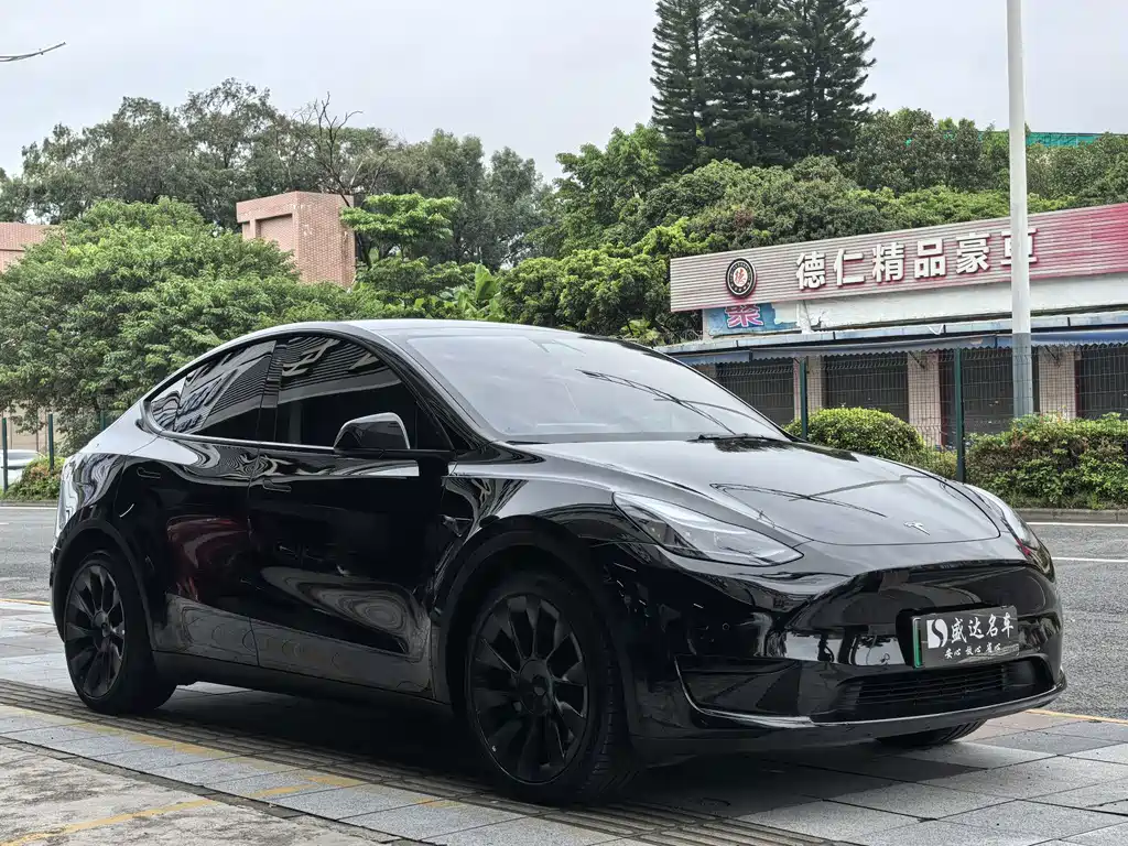 Tesla Model Y — миниатюра 3