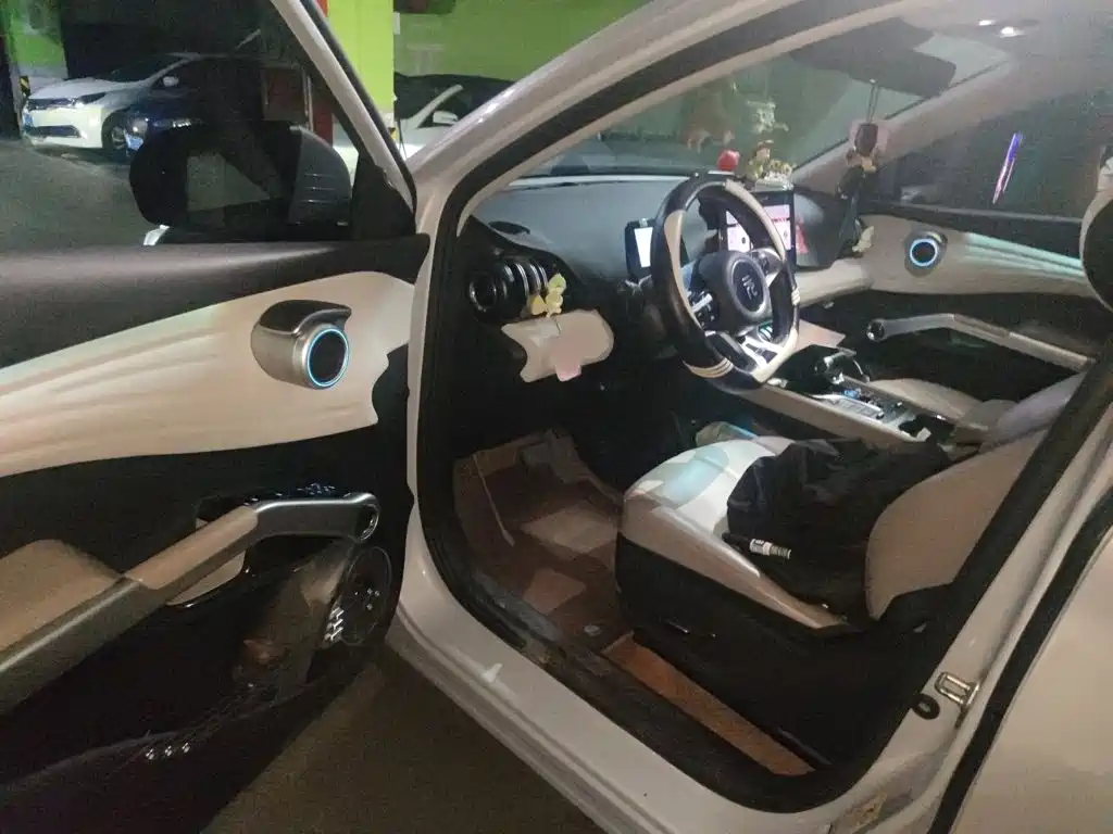 BYD Yuan Plus — миниатюра 14