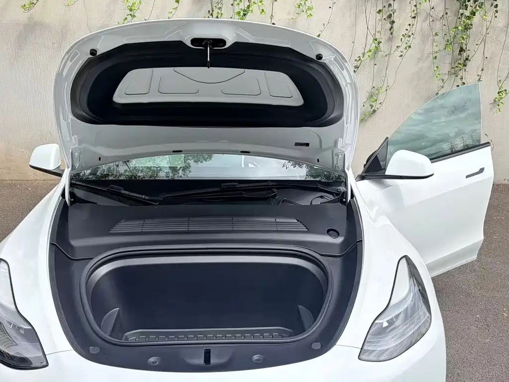 Tesla Model Y — миниатюра 12