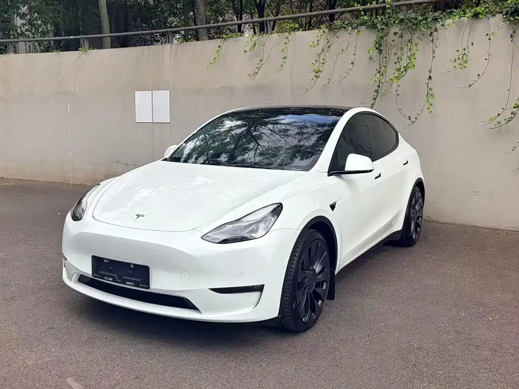 Tesla Model Y — миниатюра 6