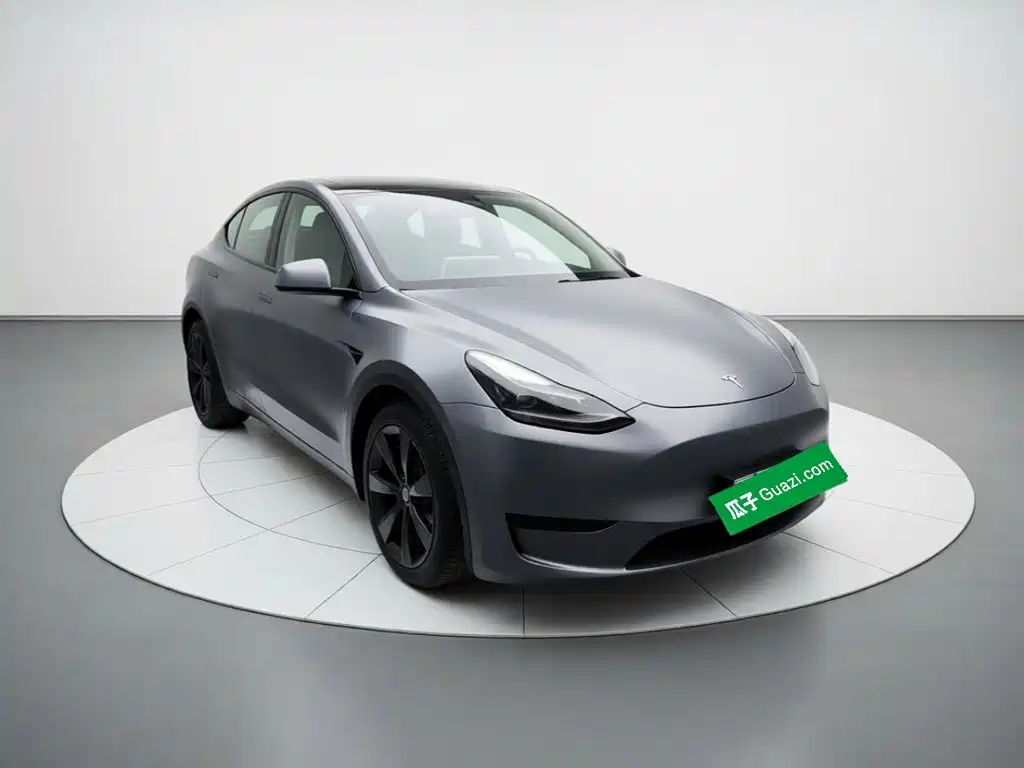 Tesla Model Y — миниатюра 3