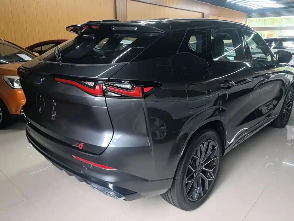 Oshan Oushang Z6 New Energy — миниатюра 11