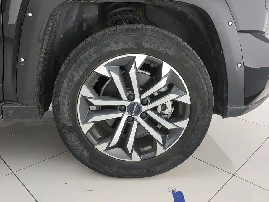 Haval Haval Big Dog PLUS — миниатюра 6