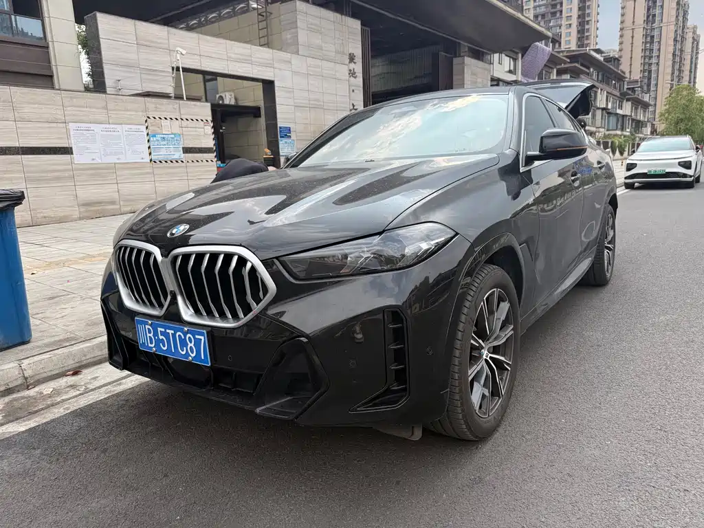 BMW X6 2023 xDrive30i M Sport