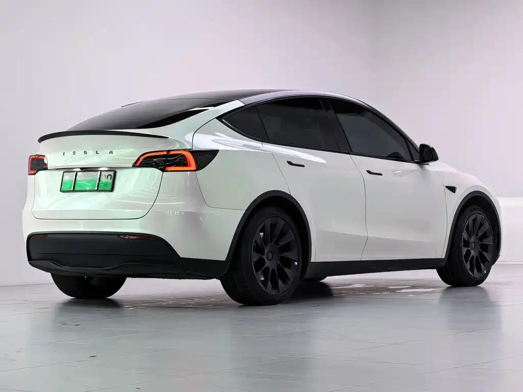 Tesla Model Y — миниатюра 6