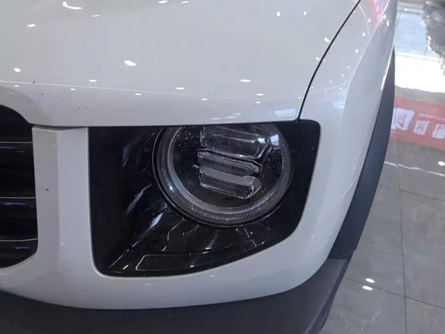 Haval Big Dog — миниатюра 5