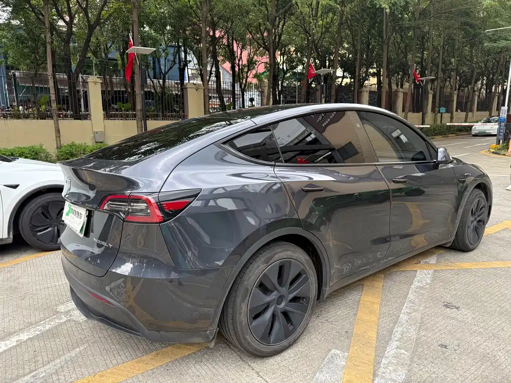 Tesla Model Y — миниатюра 5