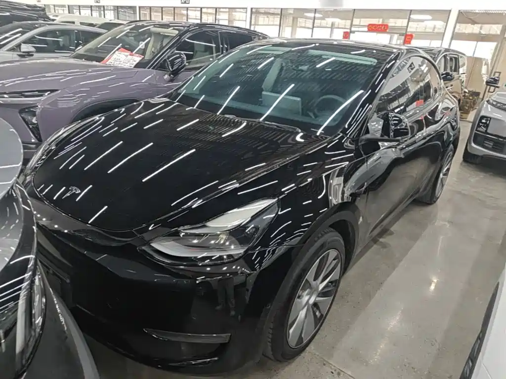 Tesla Model Y — миниатюра 2