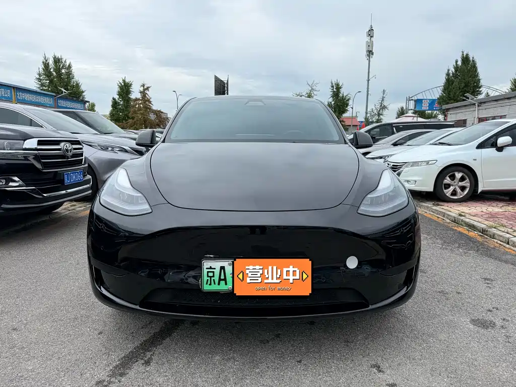 Tesla Model Y — миниатюра 2