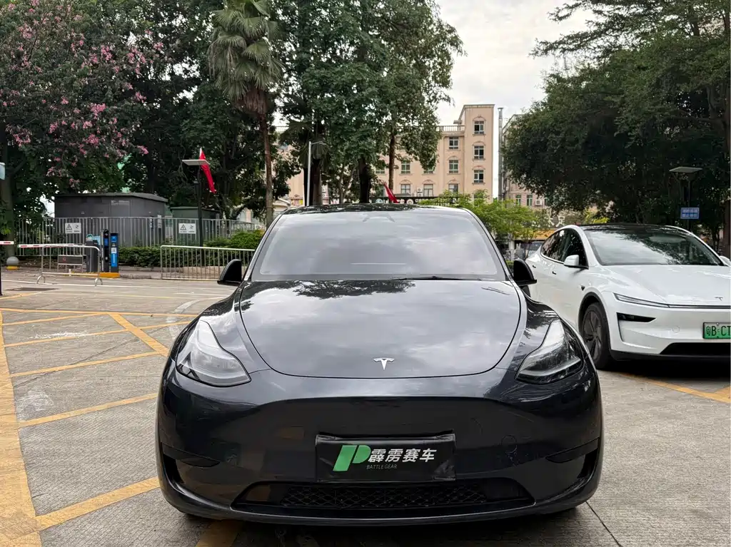 Tesla Model Y — миниатюра 2