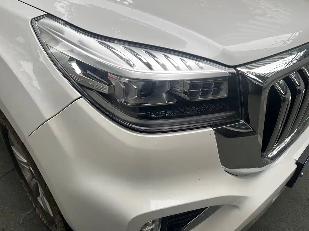 HAVAL H9
