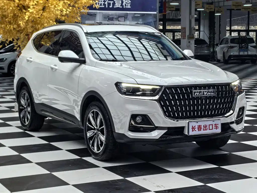 Haval H6 — миниатюра 3