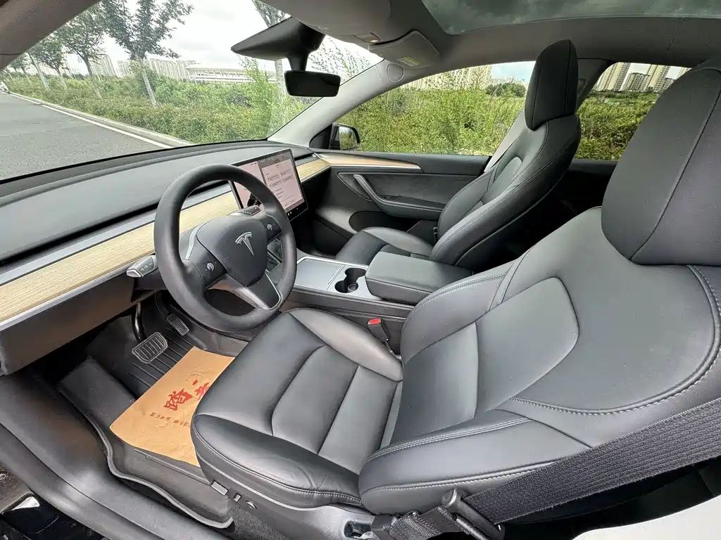Tesla Model Y — миниатюра 4